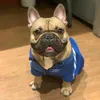 apollotheloco