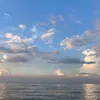 joyvr