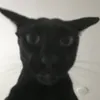 krayayay