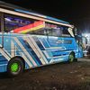 halogaesteam