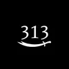 so_fe__313