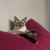 samu.carrino0ti.adoro