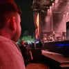 alfie__mf