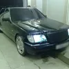 mazer481