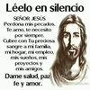amor.linda2008