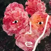 agreencupoftea