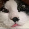 hdbsbsbshwbwbw
