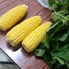myafrofood