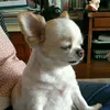 sssarellano