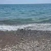 sharra66