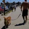 diegogio2