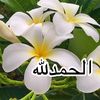 سوسو الفيفي 🦋