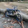 tyson_thomas715