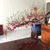 dungxuan233219