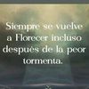 noeyeiliverdezoto