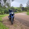 rodriirico
