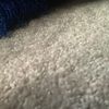 josh5636