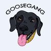 goosethelabrador