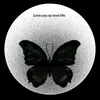 butterfly_z19