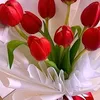 user5617086612091