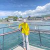 stiktzh_jv