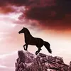 userjikpgowvl9