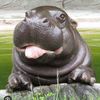 half.hippo