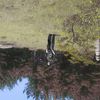 vasya.webp