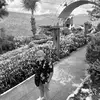 patlang__