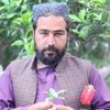 itx.mr.mubari250