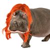 the.house.hippo