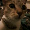 miss_newspapper91