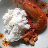 montchok7