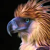 agila888