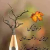 paimanhahmad2