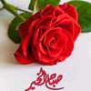 monaahmed844