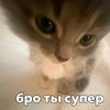 pi.pip3