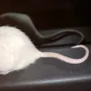 rat4sinc0la