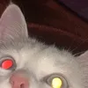 zhulyik