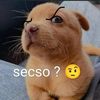 7orrez_05