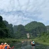 ddnguyen291216