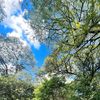 under_thebluesky