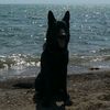 thor_alexandr