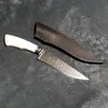 f.grazziotin