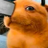 dphhyt4ffy