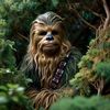 bushwookieultra