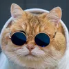 andyminh3