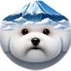nishi_tok