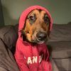 realcanuckgirl