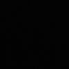 nir1019